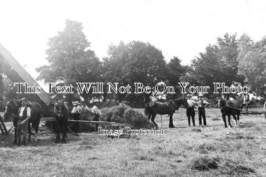SO 1894 - Gathering The Hay, Frome, Somerset c1910