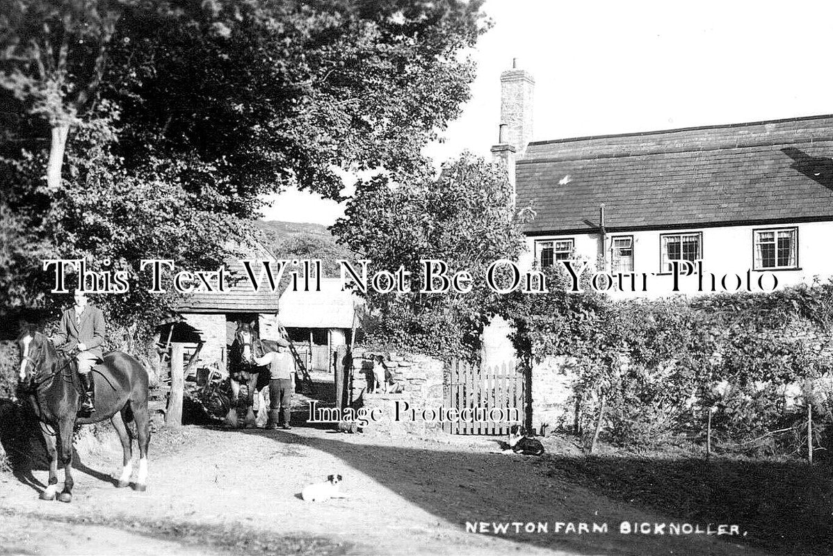 SO 2002 - Newton Farm, Bicknoller, Somerset c1950
