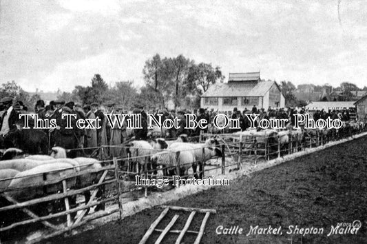 SO 207 - Cattle Market, Shepton Mallet, Somerset c1927