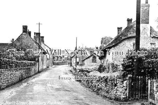SO 2262 - White Horse Inn Pub, North Street, Haslebury Plucknett, Somerset