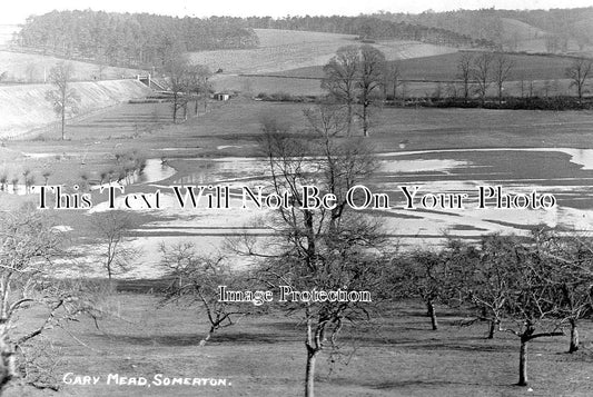 SO 2331 - Cary Mead, River Cary, Somerton, Somerset