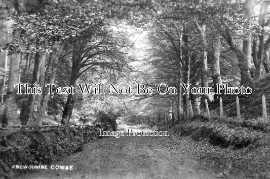 SO 2445 - Crowcombe Combe, Somerset c1925