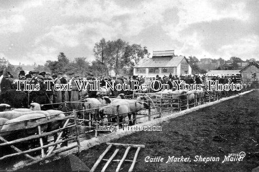 SO 252 - Cattle Market, Shepton Mallet, Somerset