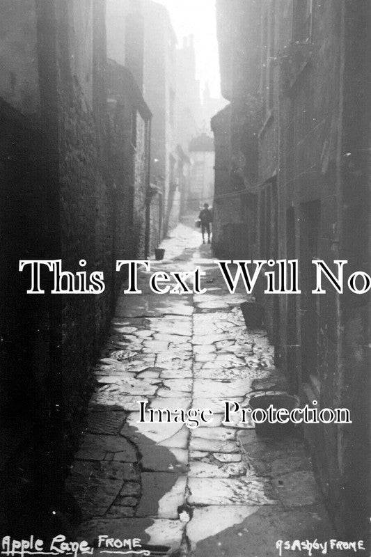 SO 2565 - Apple Lane, Frome, Somerset