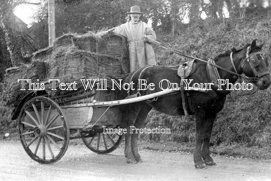 SO 2856 - William Payne, Greyfield, Clutton, Somerset