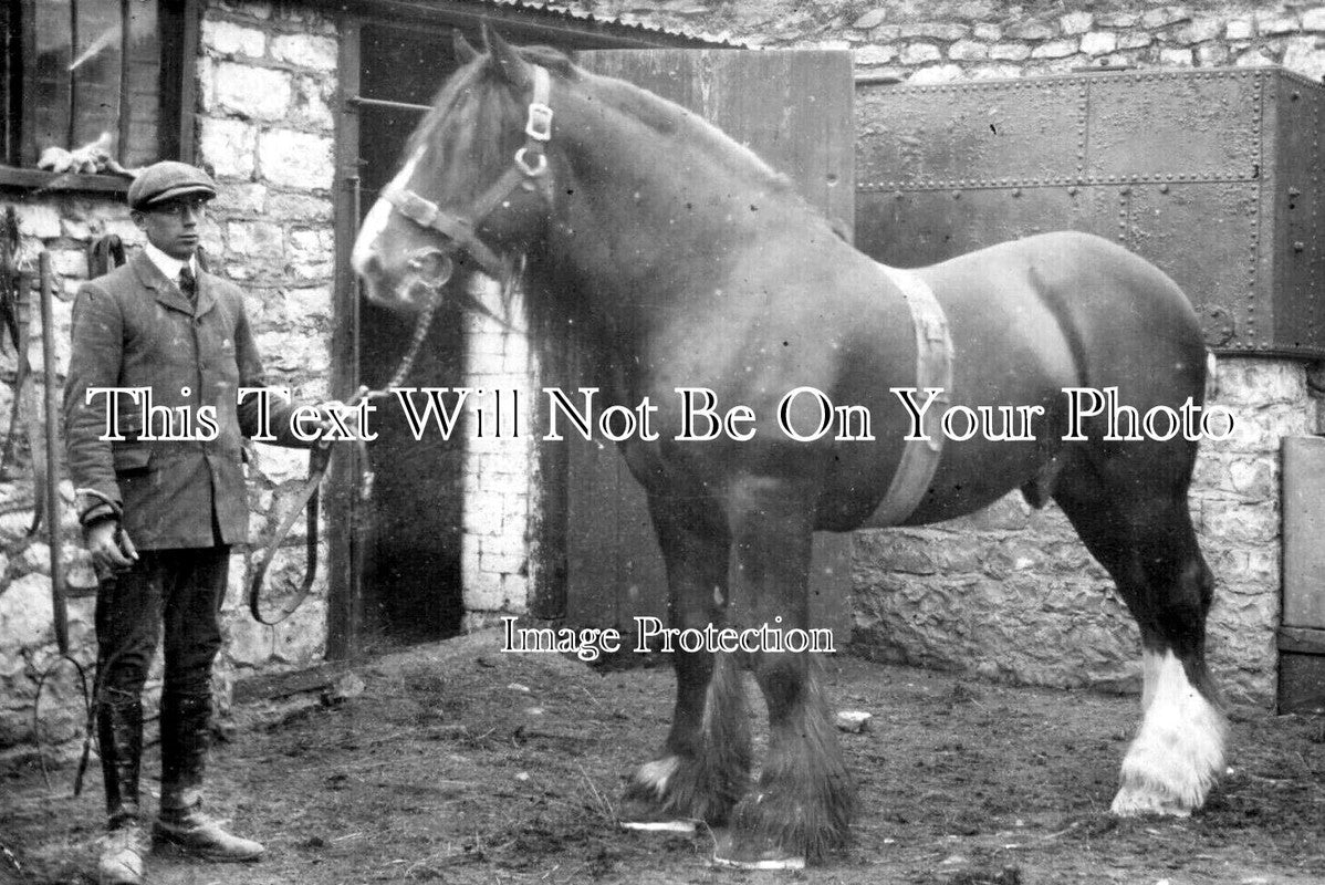 SO 2942 - Man & Horse, Radstock, Somerset