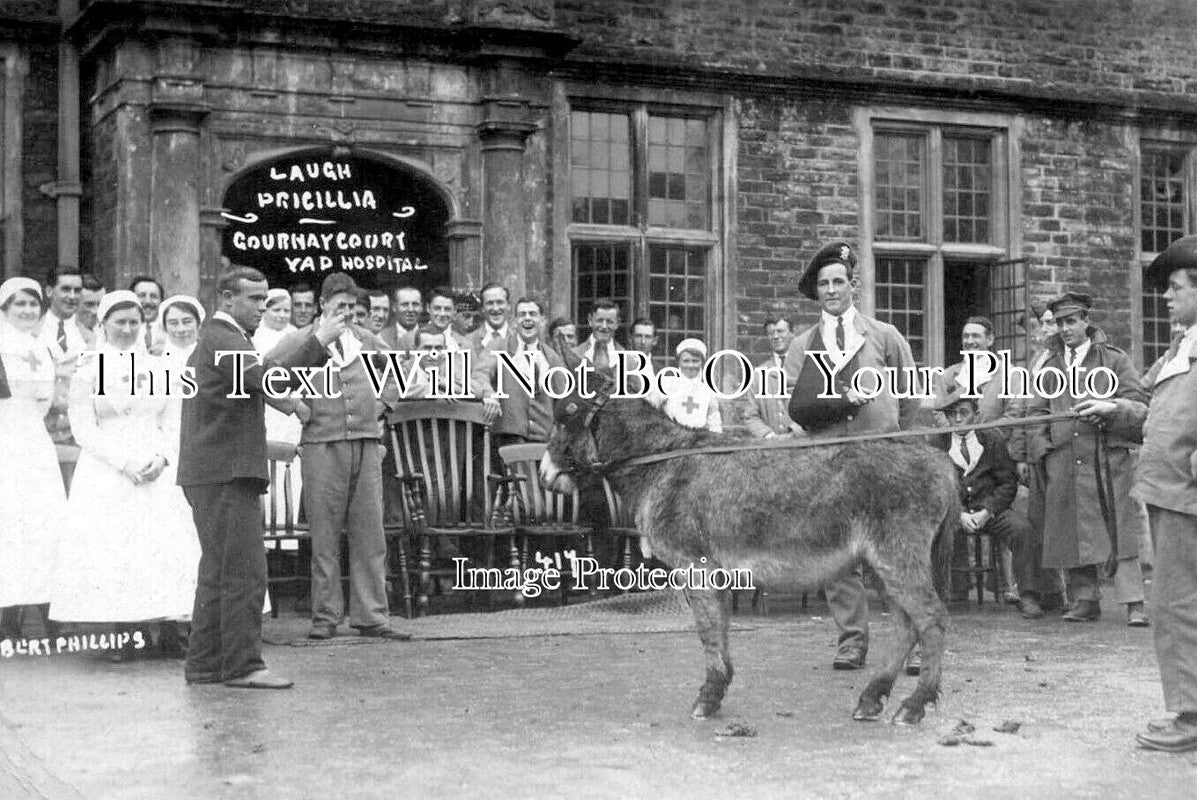 SO 3003 - Gourney Court VAD Hospital, West Harptree, Somerset