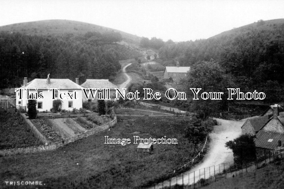 SO 556 - Triscombe, Somerset