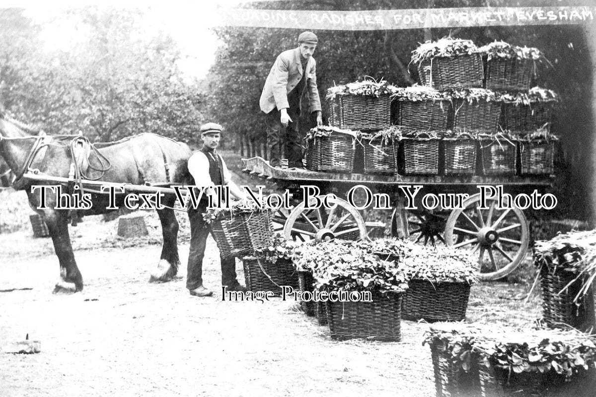SO 709 - Garden Produce Sale In High Street, Evesham, Somerset c1905