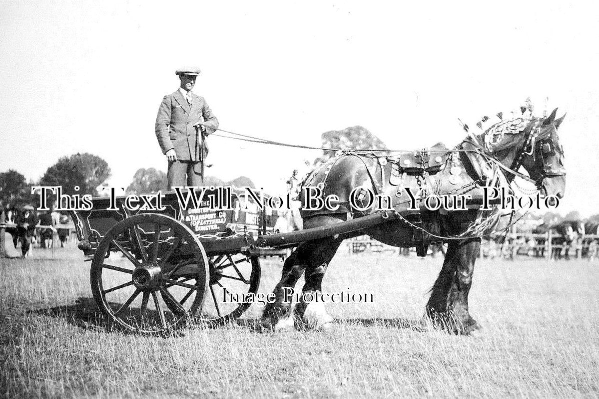 SO 712 - Dunster Trading Co Cart & Horse, Somerset