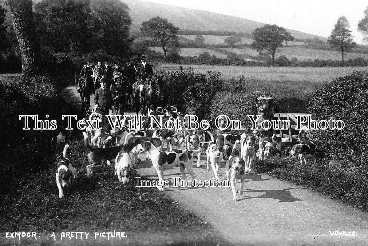 SO 78 - Exmoor Hunt, Somerset