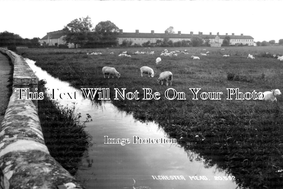 SO 895 Ilchester Mead, Somerset JB Archive