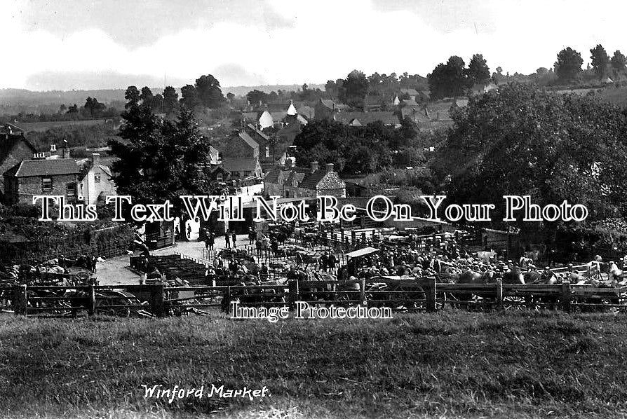 SO 959 - Winford Cattle Market, Somerset c1924