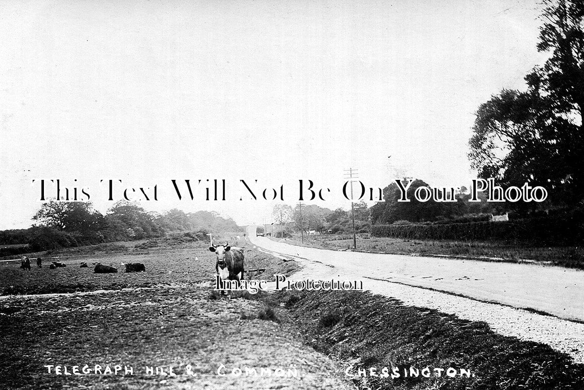 SP 106 - Telegraph Hill & Common, Chessington, Surrey