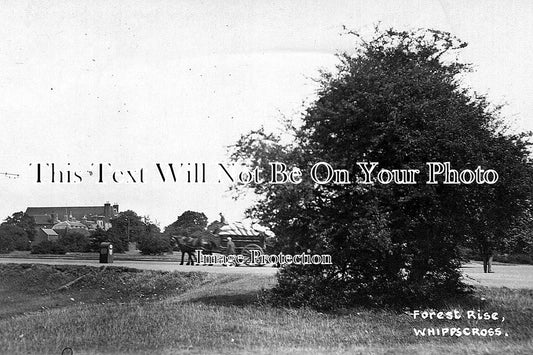 SP 210 - Forest Rise, Whippscross, London