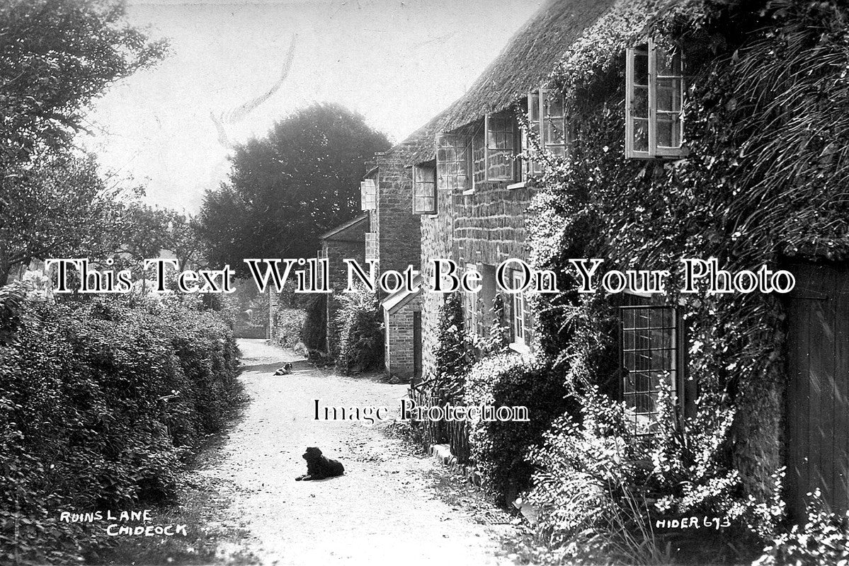 SP 261 - Ruins Lane, Chideock, Dorset