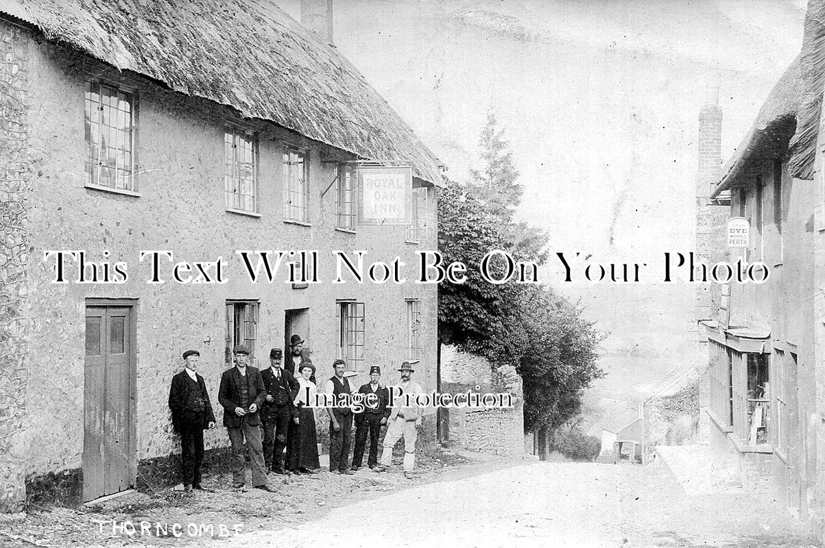 SP 262 - Thorncombe, Dorset