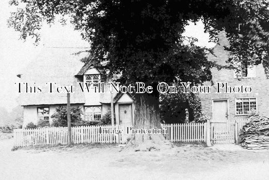 SP 401 - Ingles Cottage & Corner Tree, Great Gransden, Cambridgeshire c1890