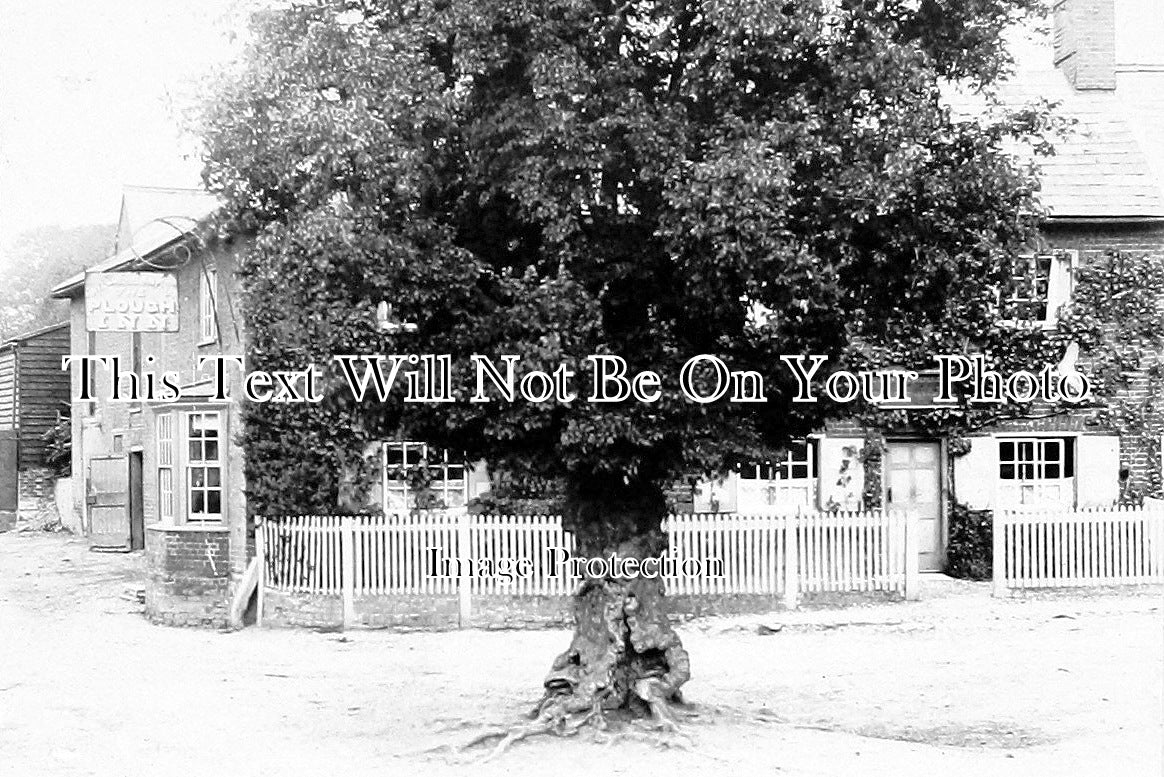 SP 412 - The Plough Inn & Corner Tree, Great Gransden, Cambridgeshire c1890