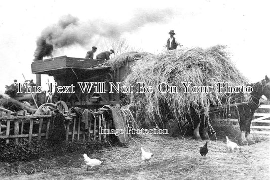 SP 644 - Traction Engine Threshing At Full-Sutton, Yorkshire