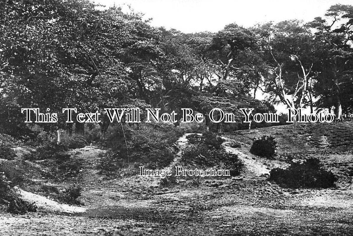 ST 1018 - Shoal Hill, Cannock, Staffordshire