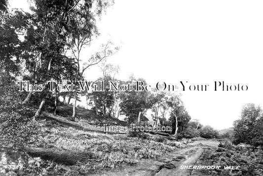 ST 1325 - Sherbrook Vale, Cannock Chase, Staffordshire c1941