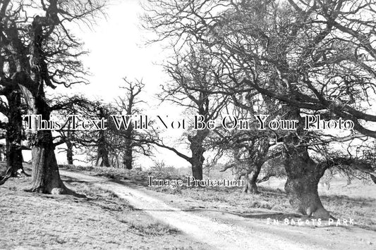 ST 1352 - In Bagots Park, Abbots Bromley, Rugeley, Staffordshire c1918