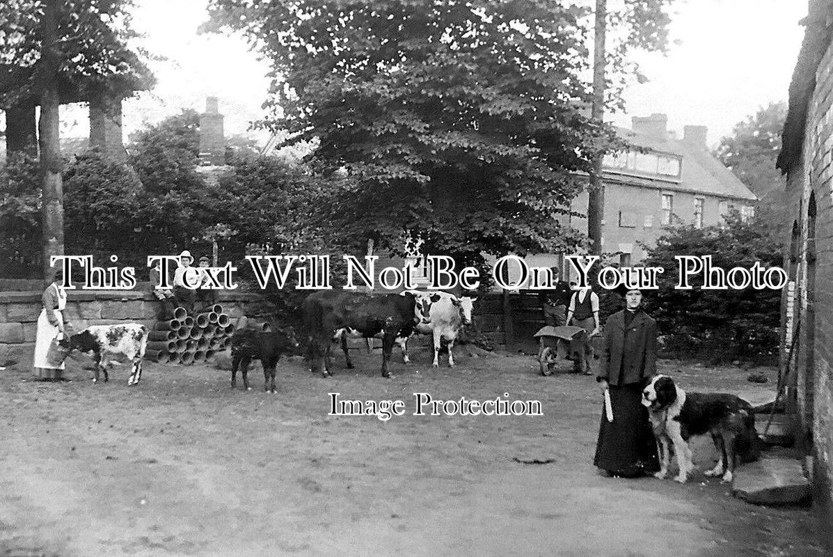 ST 1565 - Wheatsheaf Pub, Brownhills, Walsall, Staffordshire c1905