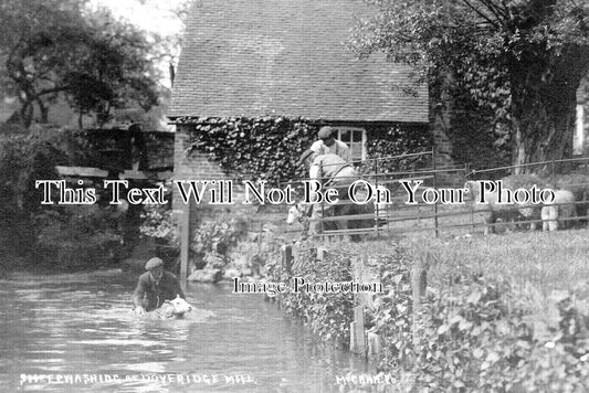 ST 1585 - Sheep Washing At Doveridge Mill, Staffordshire c1909