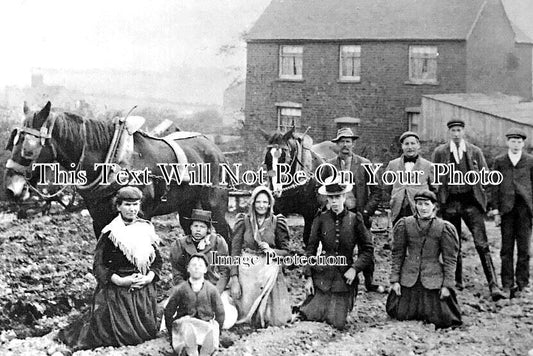 ST 1623 - Farm Workers, Pound Road, Oldbury, Staffordshire 1900