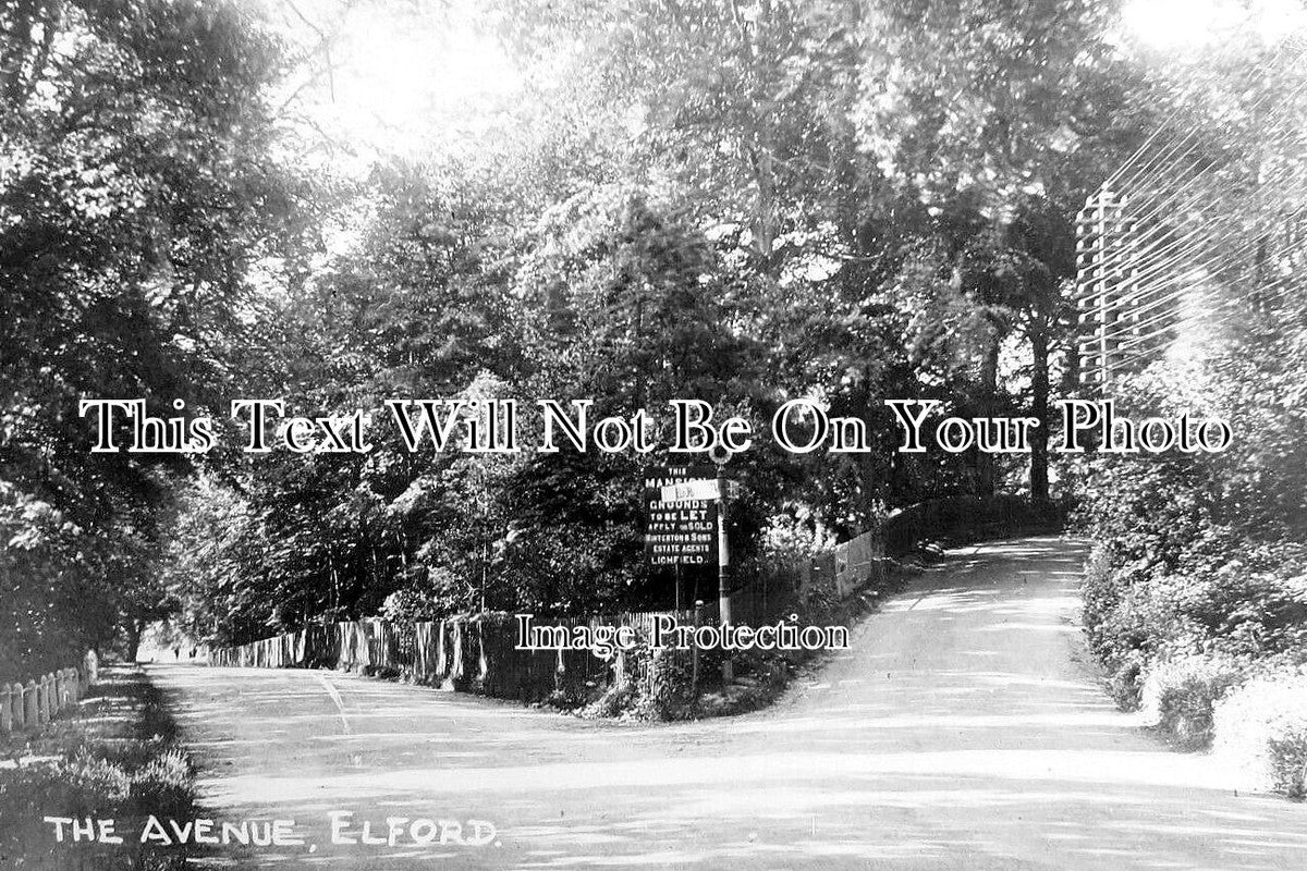 ST 1849 - The Avenue, Elford, Staffordshire c1929