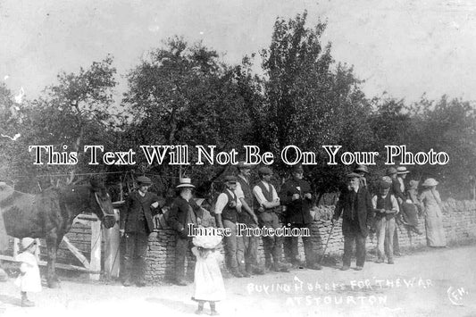 ST 981 - Buying Horses For the War, Stourton, Staffordshire WW1