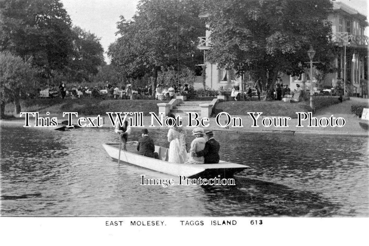 SU 1178 - Taggs Island, East Molesey, Surrey