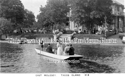 SU 1178 - Taggs Island, East Molesey, Surrey