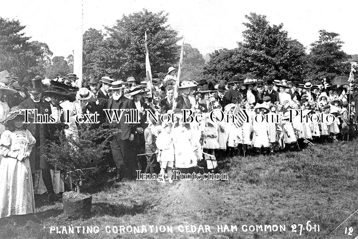 SU 1333 - Planting Coronation Cedar, Ham Common, Surrey 1911