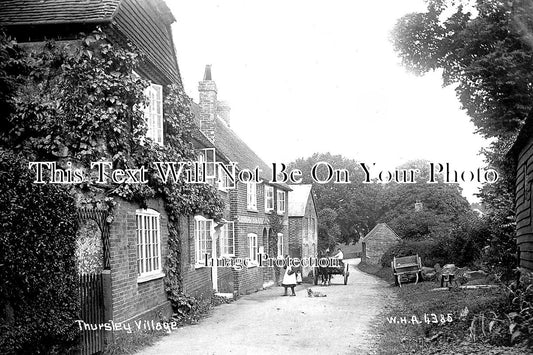 SU 1348 - Thursley Village, Surrey c1920