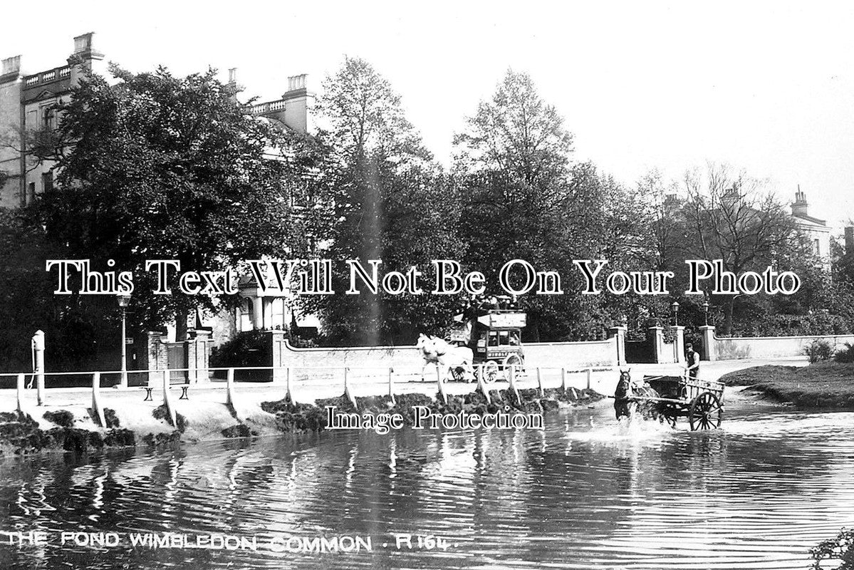 SU 1548 - The Pond, Wimbledon Common, Surrey c1905