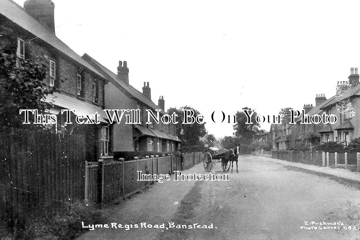 SU 1655 - Lyme Regis Road, Banstead, Surrey c1919