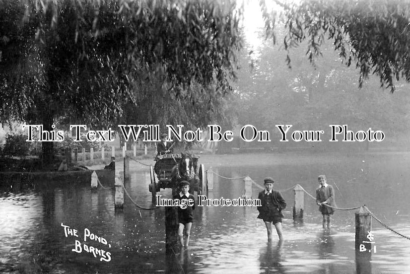 SU 1751 - The Pond In Flood, Barnes, Surrey c1910