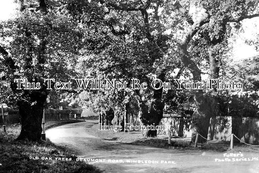 SU 1853 - Old Oak Trees, Beaumont Road, Wimbledon Park, Surrey