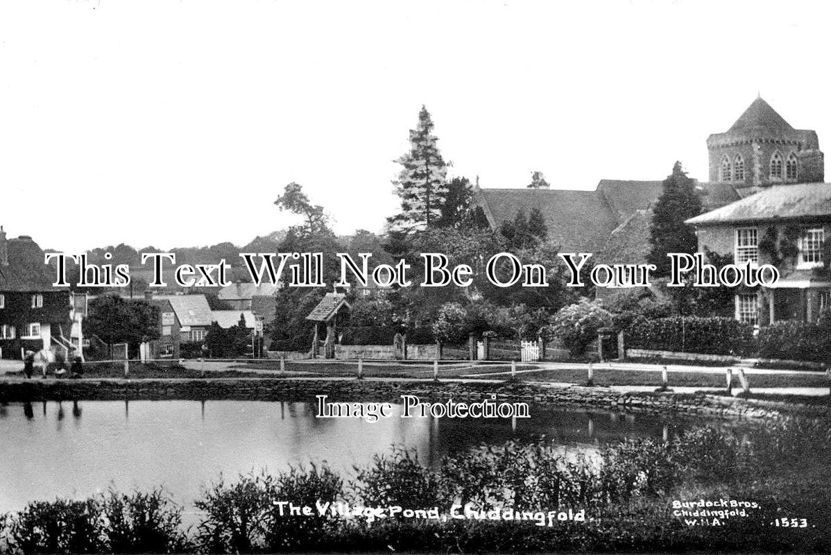 SU 1913 - The Village Pond, Chiddingfold, Surrey c1914