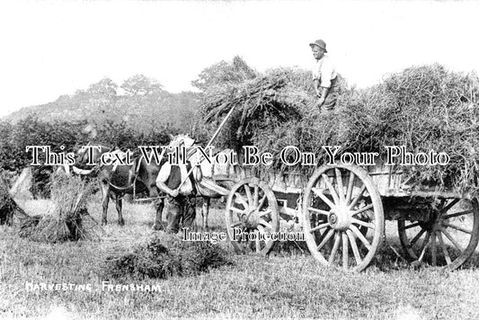 SU 2009 - Harvesting At Frensham, Surrey