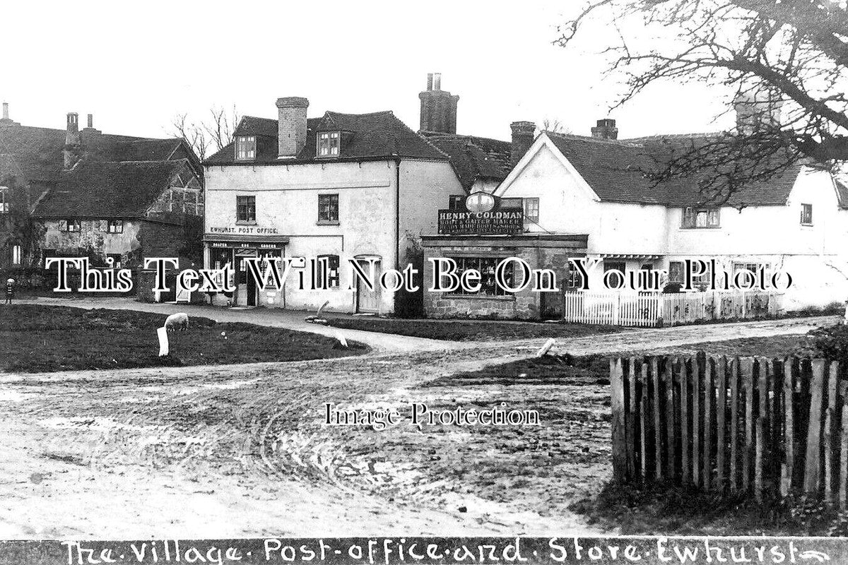 SU 2224 - The Village Post Office & Store, Ewhurst, Surrey c1908