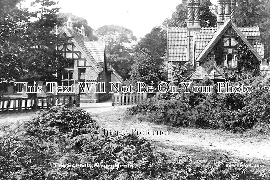 SU 2261 - The Schools, Albury Heath, Surrey c1920