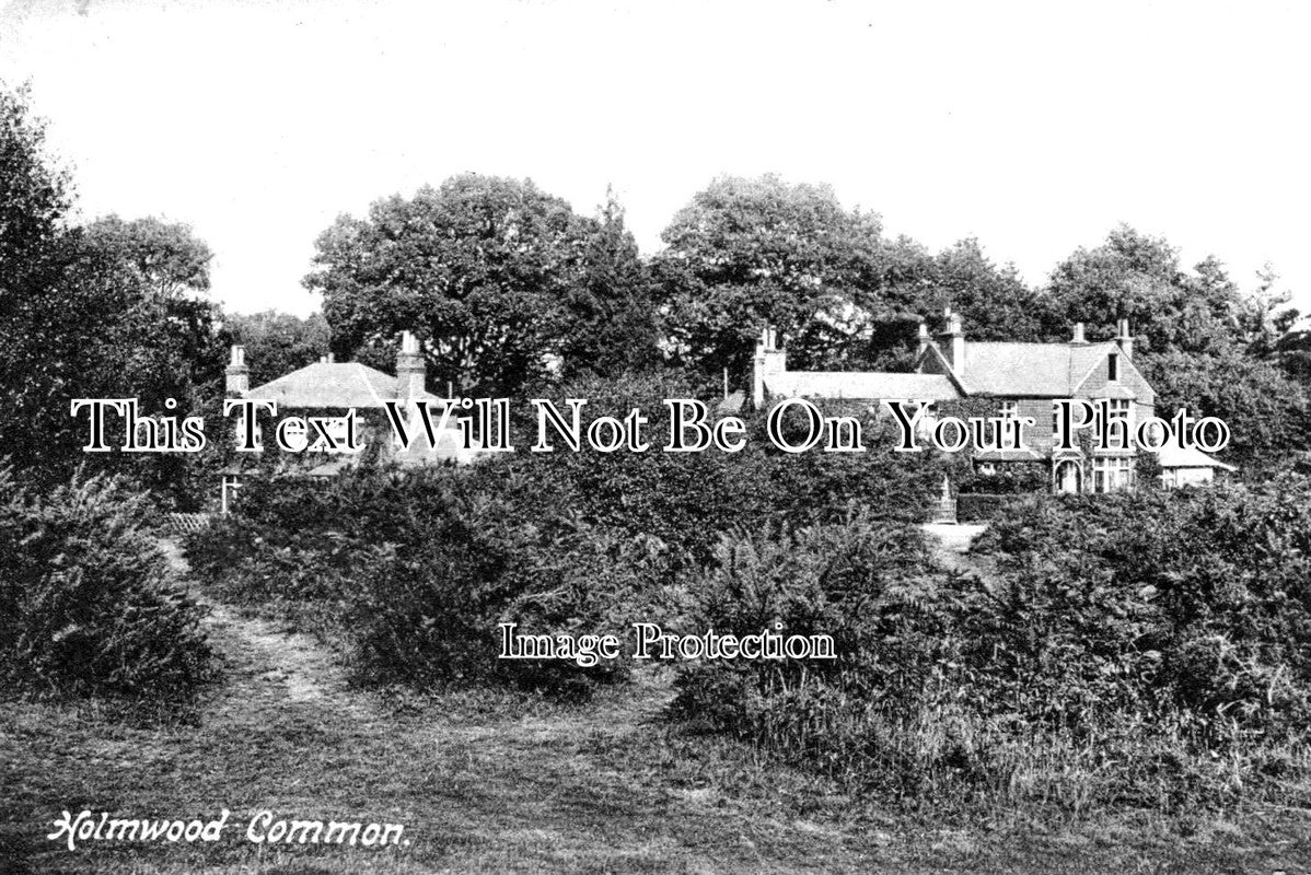 SU 2593 - Holmwood Common, Surrey c1910