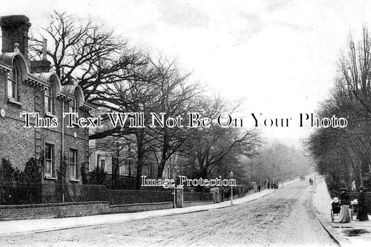 SU 2652 - The Avenue, Upper Norwood, Surrey c1907