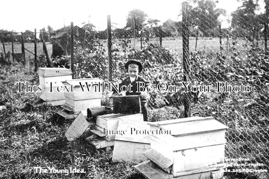 SU 2727 - Beekeeping Apiary, Sandpit Farm, Croydon, Surrey c1910