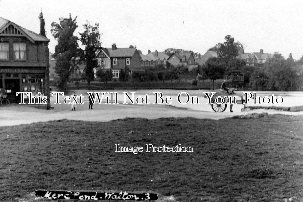 SU 296 - Mere Pond, Walton-On-The-Hill, Surrey c1925