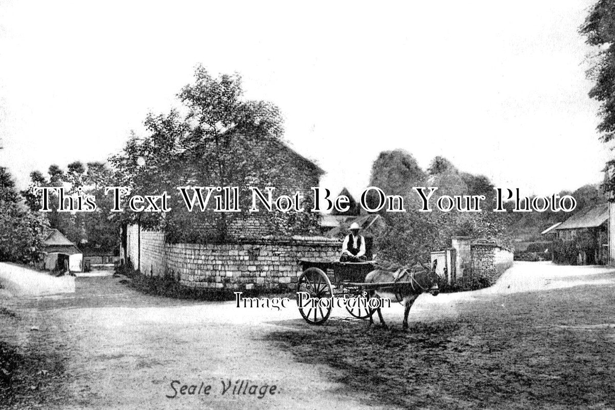 SU 2984 - Seale Village, Guildford, Surrey c1907