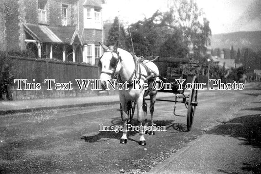 SU 3001 - Howard Road, Reigate, Surrey c1914